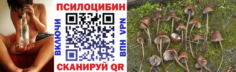 где купить наркотик Лысьва гидра ССЫЛКА Галлюциногенные грибы прущие грибы
